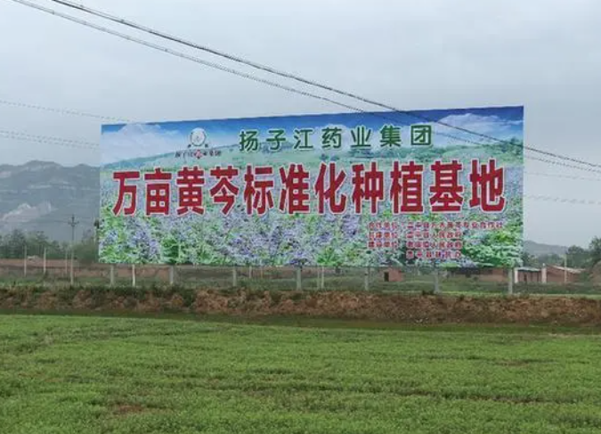 揚子江藥業：彰顯藥企責任擔當 掌握精準扶貧“金鑰匙”